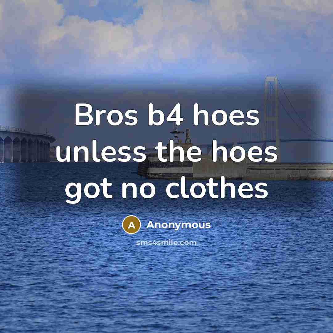 “Bros b4 hoes unless the hoes got no clothes” quote by Anonymous