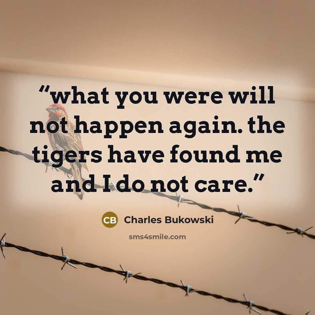 “what you were will not happen again. the tigers have found me and I do not care.” quote by Charles Bukowski