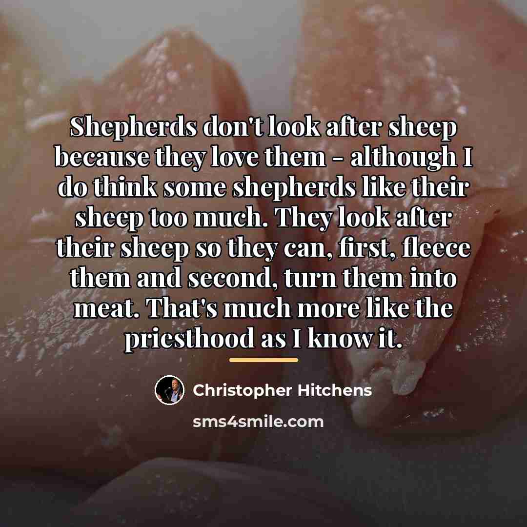 “Shepherds don't look after sheep because they love them -…” quote by Christopher Hitchens