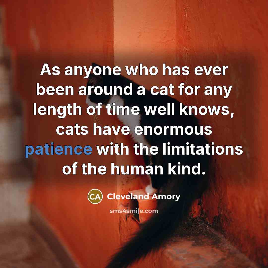 “As anyone who has ever been around a cat for…” quote by Cleveland Amory