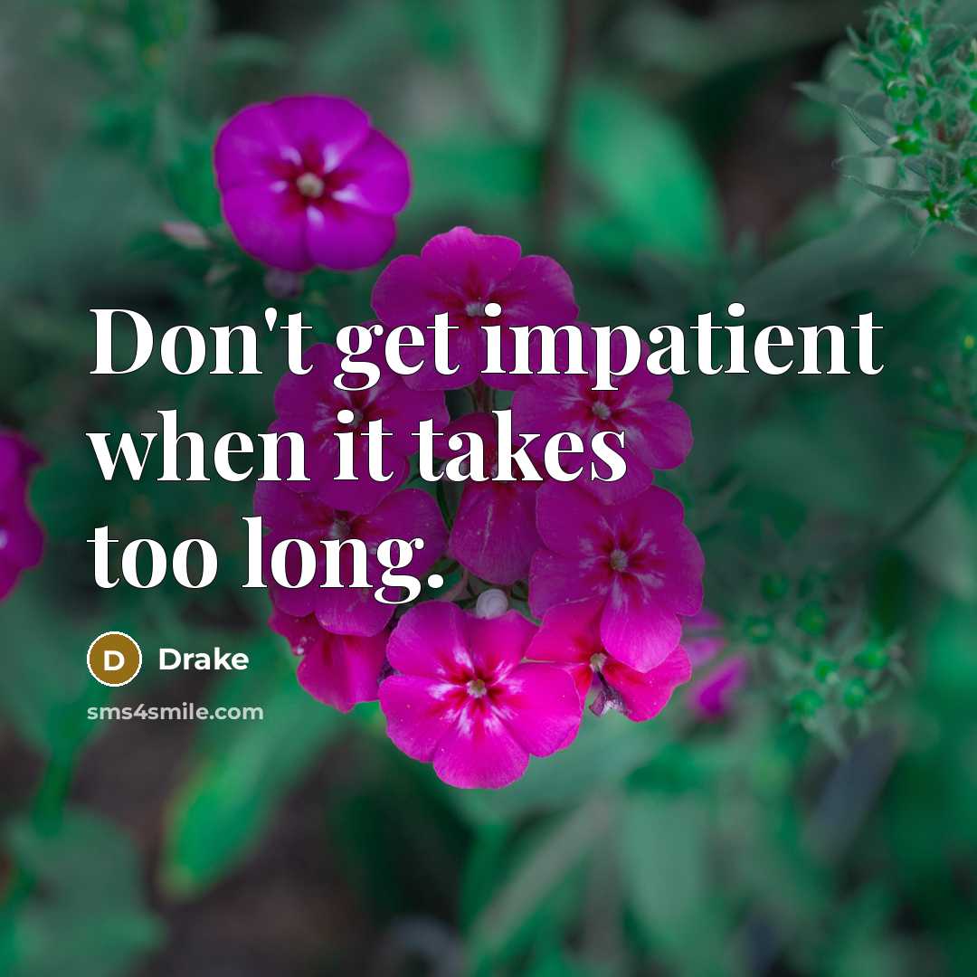 “Don't get impatient when it takes too long.…” quote by Drake