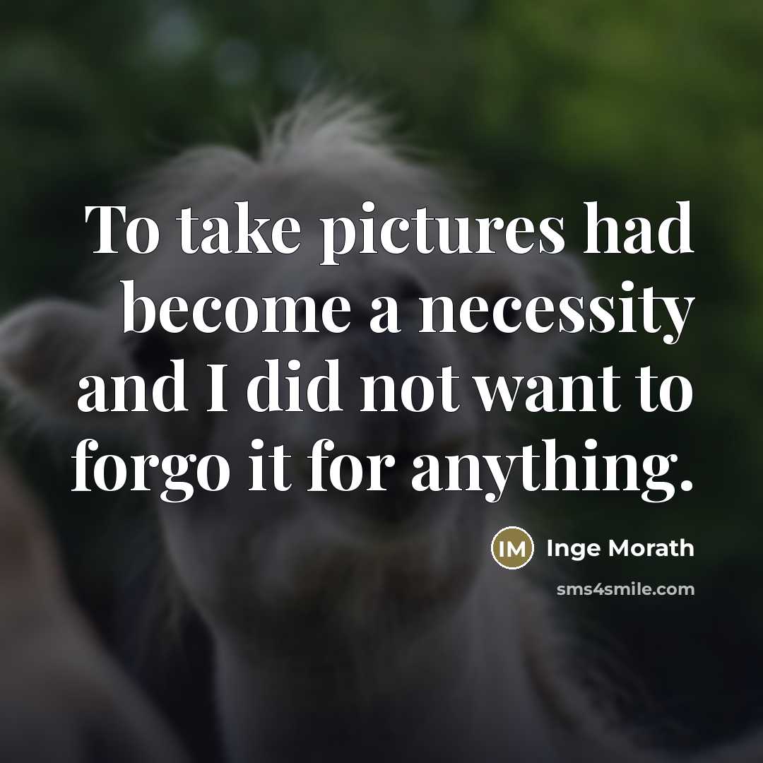 “To take pictures had become a necessity and I did…” quote by Inge Morath