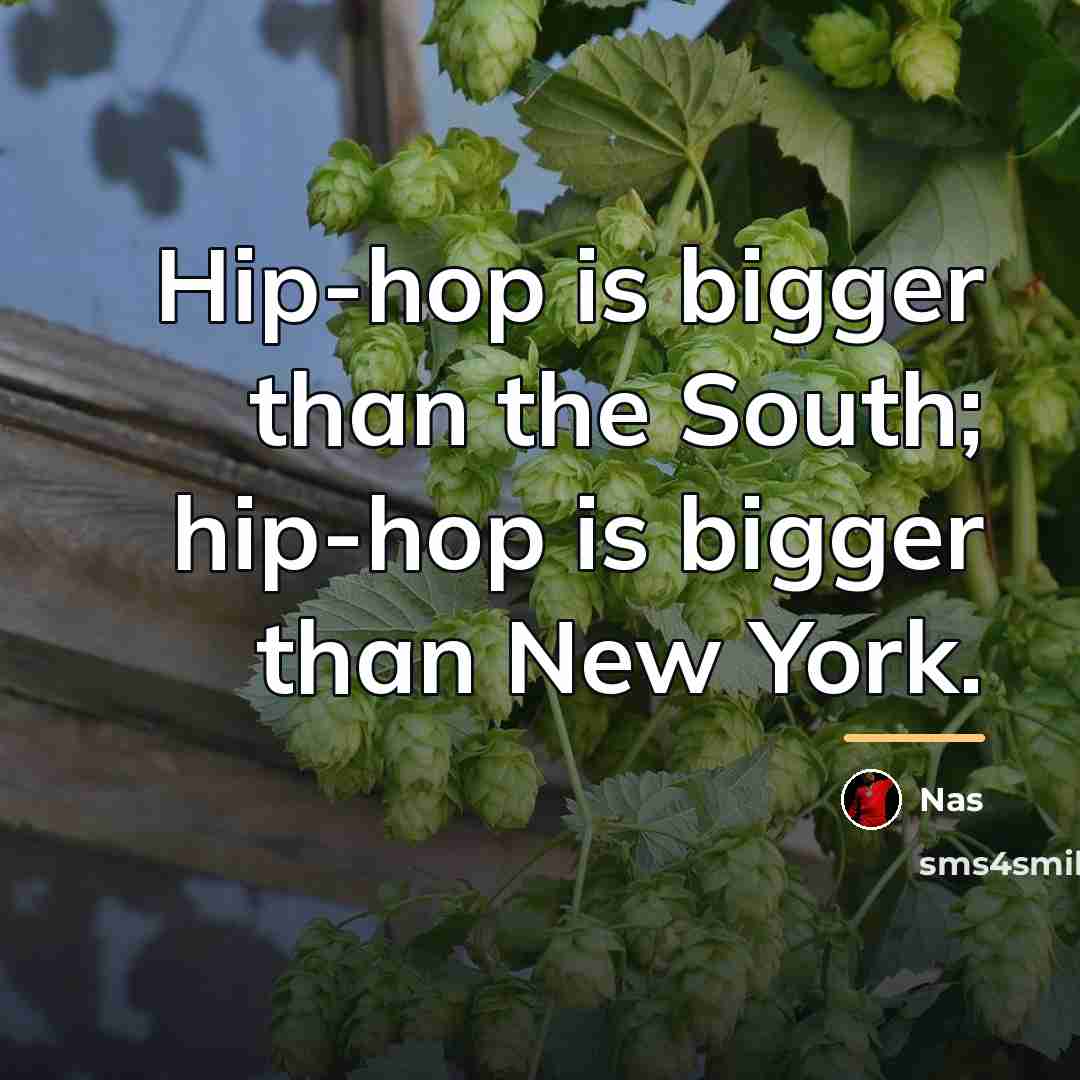 “Hip-hop is bigger than the South; hip-hop is bigger than…” quote by Nas
