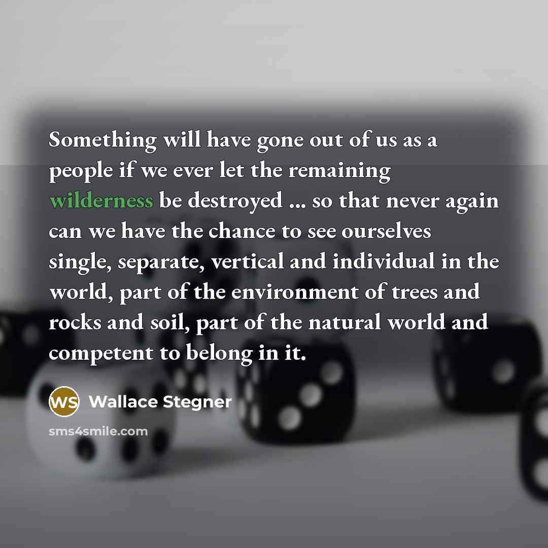 “Something will have gone out of us as a people…” quote by Wallace Stegner