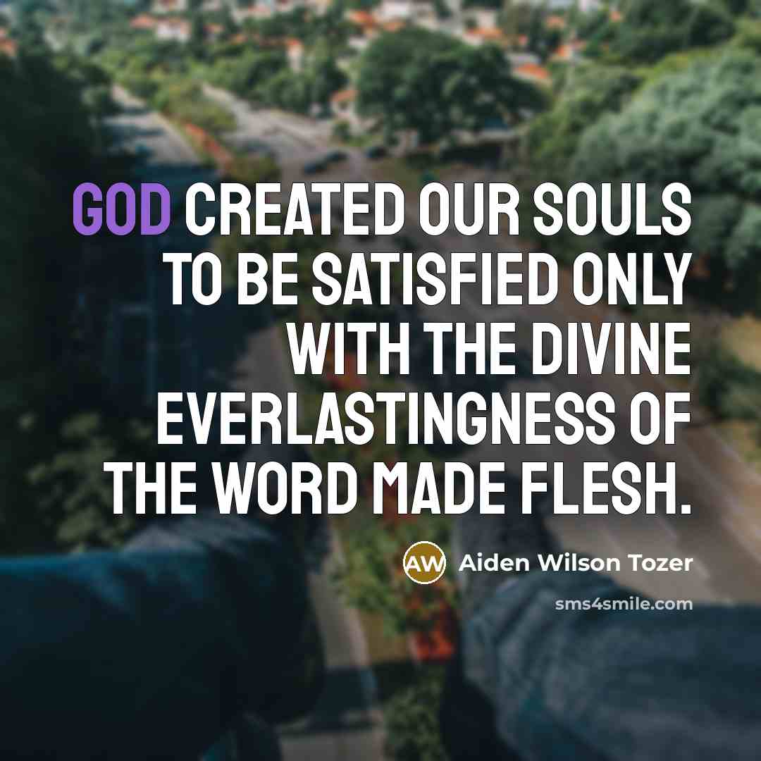 “God created our souls to be satisfied only with the…” quote by Aiden Wilson Tozer