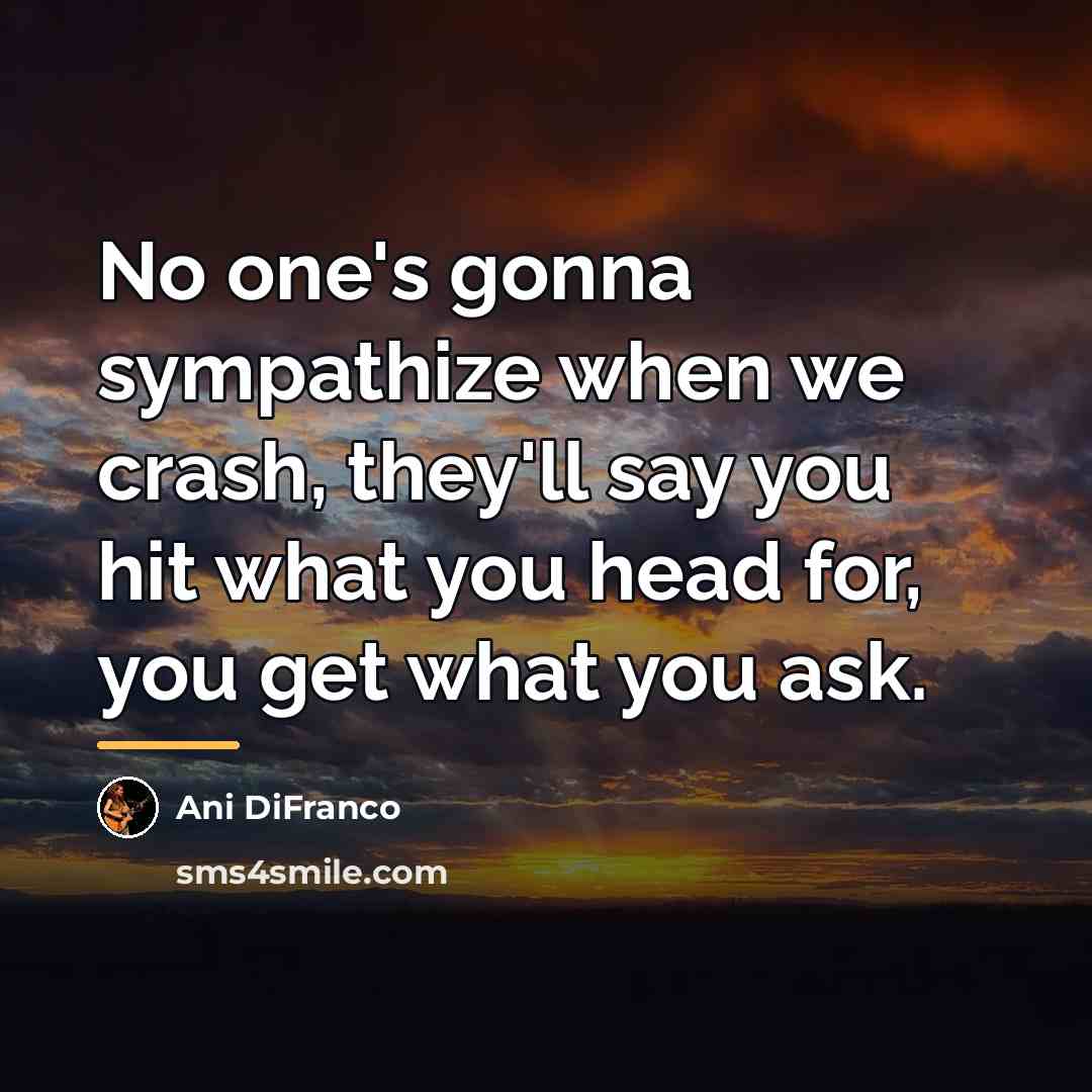 “No one's gonna sympathize when we crash, they'll say you…” quote by Ani DiFranco