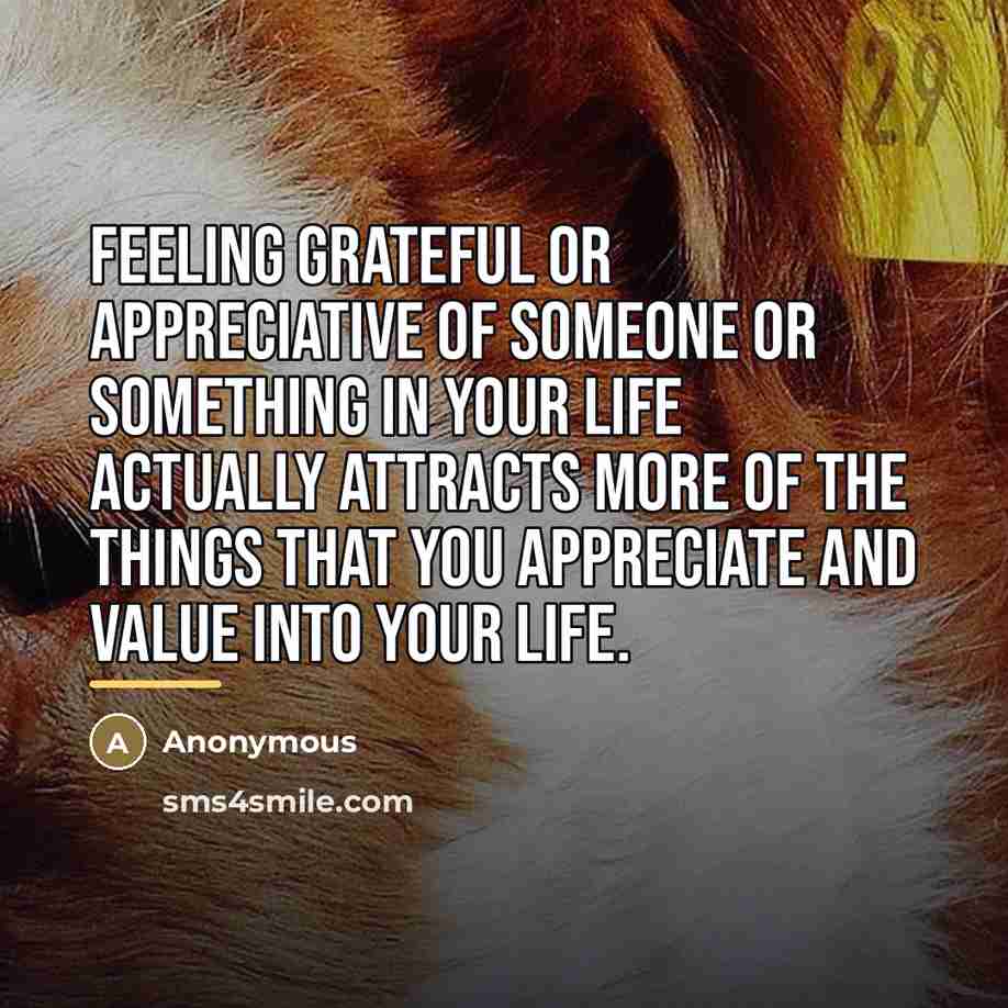 “Feeling grateful or appreciative of someone or something in your…” quote by Anonymous