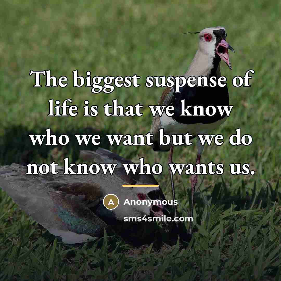 “The biggest suspense of life is that we know who we want but we do not know who wants us.” quote by Anonymous