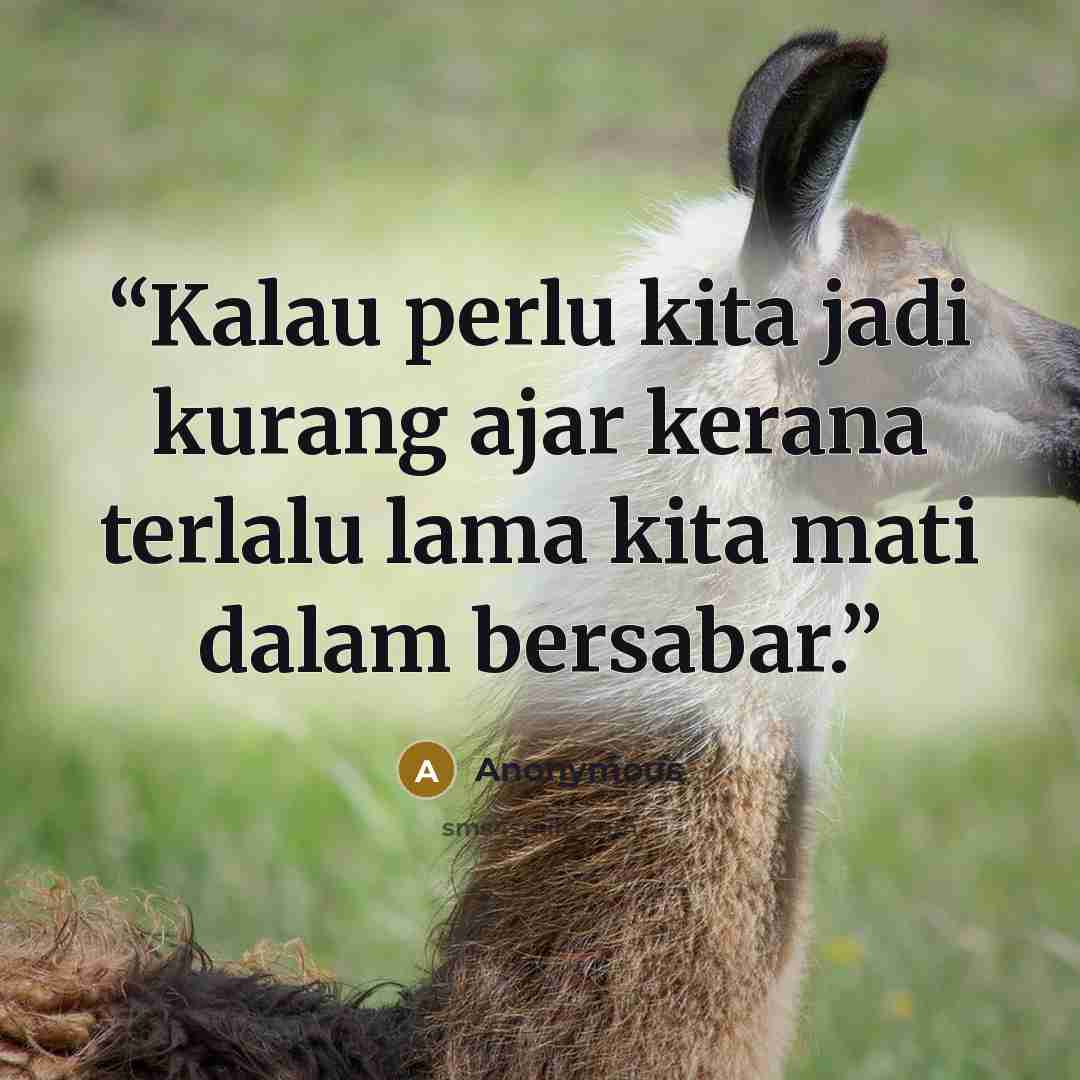 “Kalau perlu kita jadi kurang ajar kerana terlalu lama kita mati dalam bersabar.” quote by Anonymous