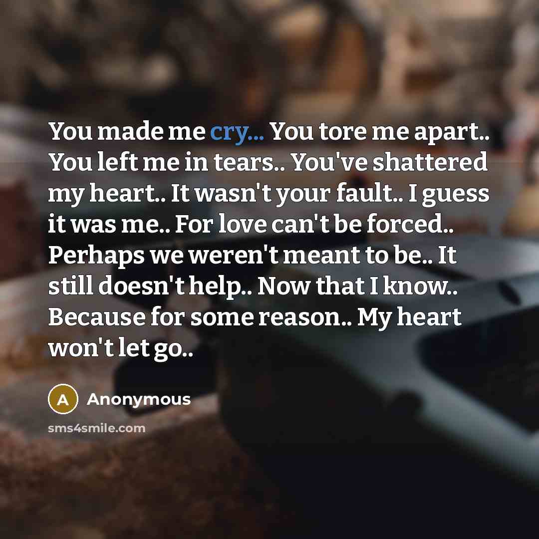 “You made me cry... You tore me apart.. You left me in tears.. You've shattered my heart.. It wasn't your fault.. I guess it was me.. For love can't be forced.. Perhaps we weren't meant to be.. It still doesn't help.. Now that I know.. Because for some reason.. My heart won't let go..” quote by Anonymous
