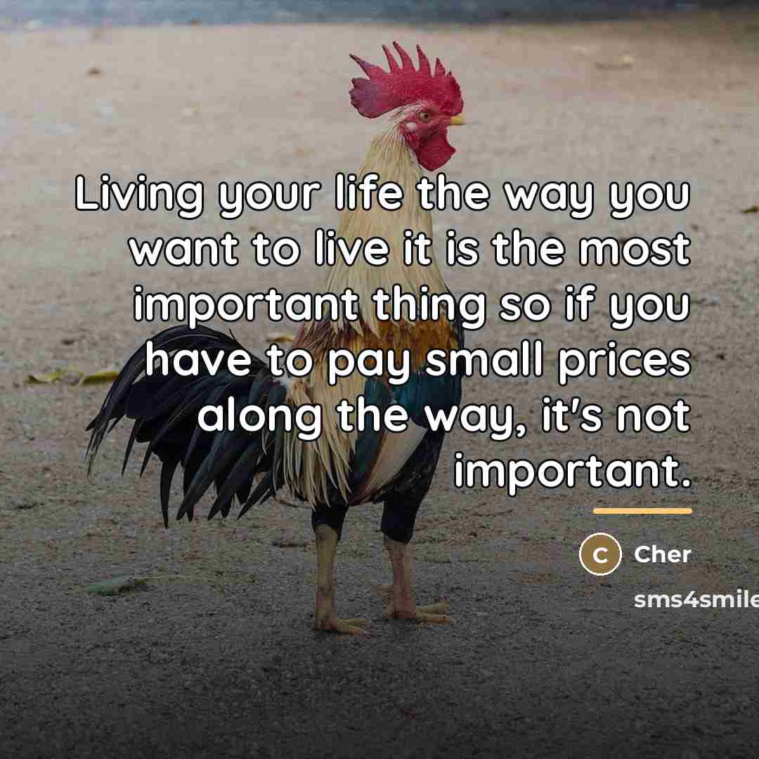 “Living your life the way you want to live it…” quote by Cher