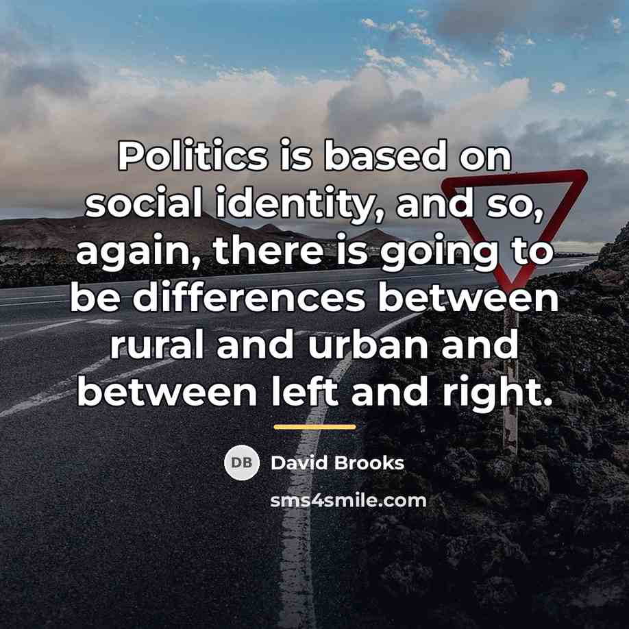 “Politics is based on social identity, and so, again, there…” quote by David Brooks