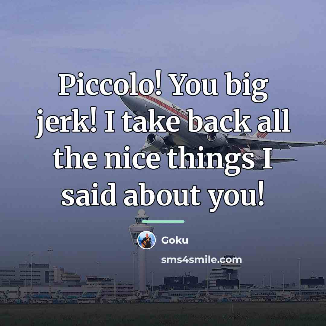 “Piccolo! You big jerk! I take back all the nice…” quote by Goku