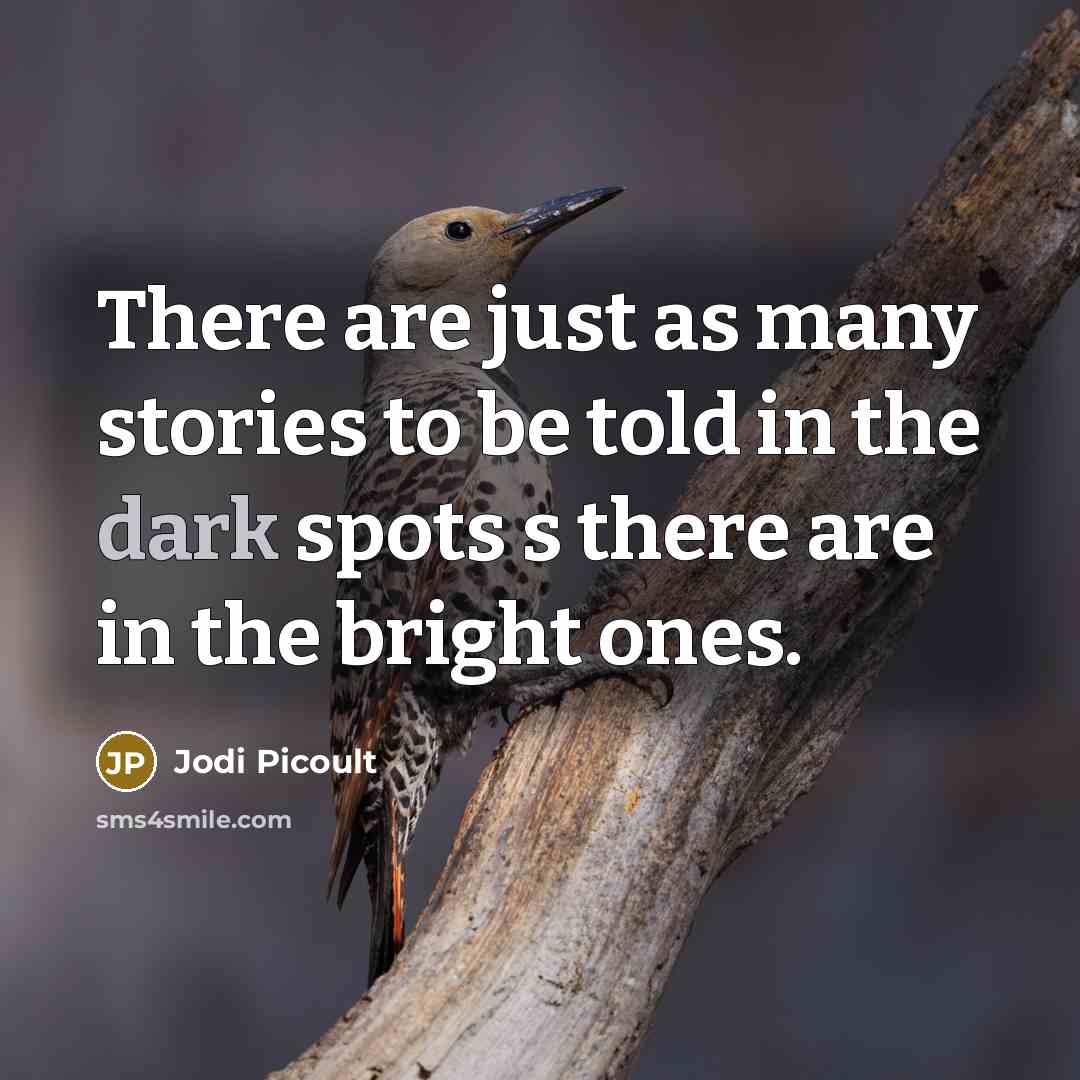 “There are just as many stories to be told in…” quote by Jodi Picoult