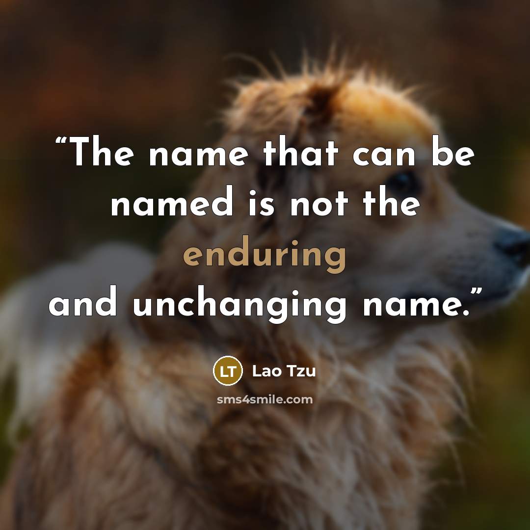“The name that can be named is not the enduring and unchanging name.” quote by Lao Tzu