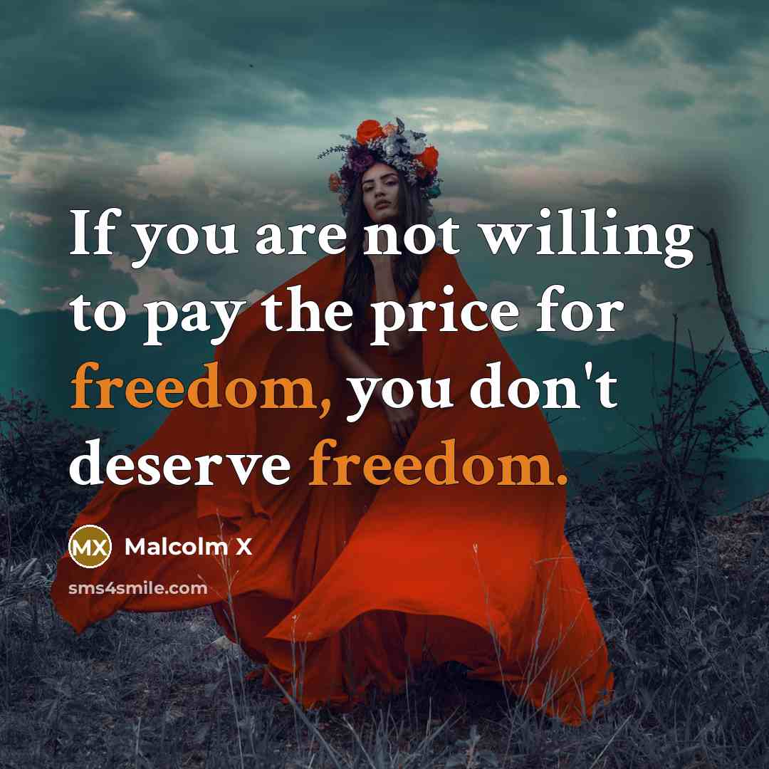 “If you are not willing to pay the price for…” quote by Malcolm X