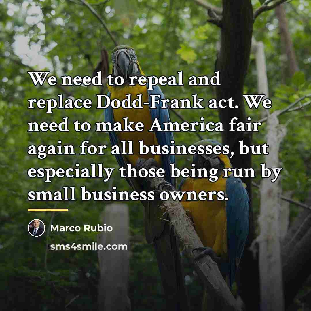 “We need to repeal and replace Dodd-Frank act. We need…” quote by Marco Rubio
