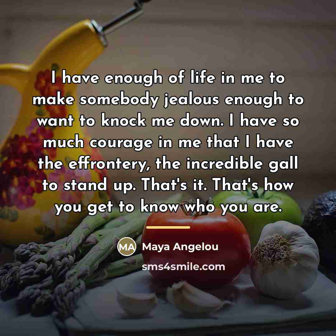 “I have enough of life in me to make somebody…” quote by Maya Angelou