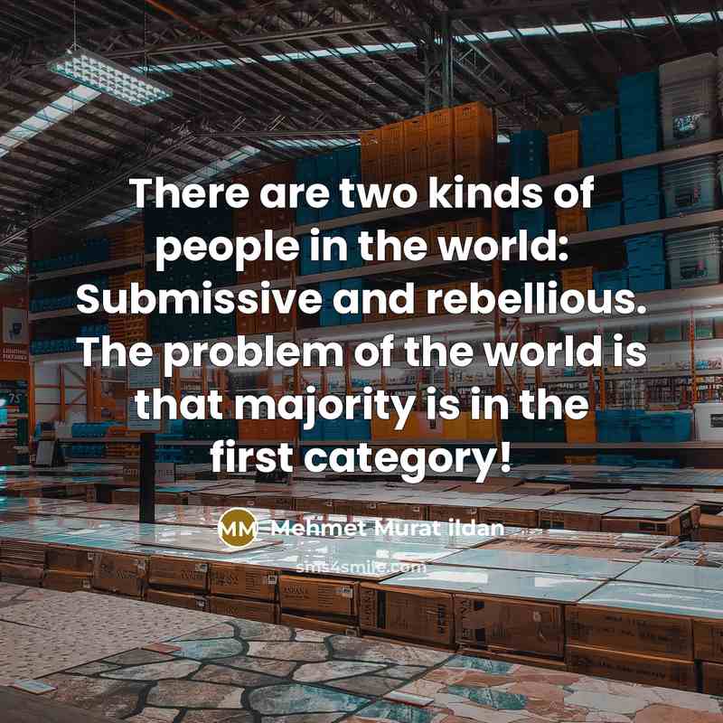 “There are two kinds of people in the world: Submissive…” quote by Mehmet Murat Ildan