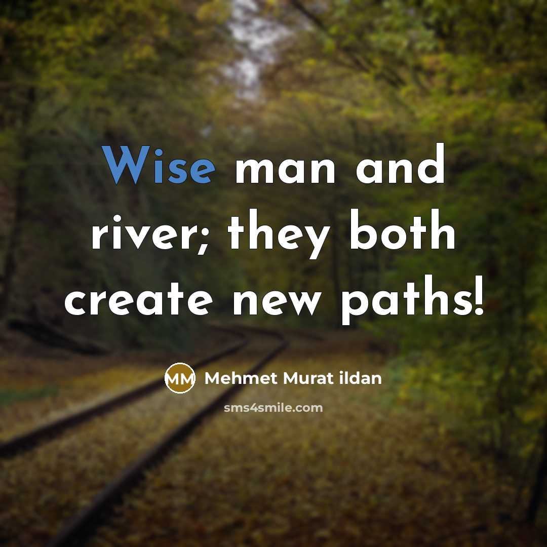 “Wise man and river; they both create new paths!…” quote by Mehmet Murat Ildan