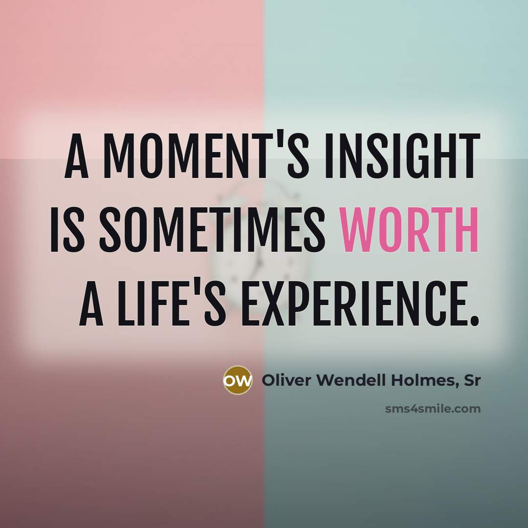 “A moment's insight is sometimes worth a life's experience.…” quote by Oliver Wendell Holmes, Sr
