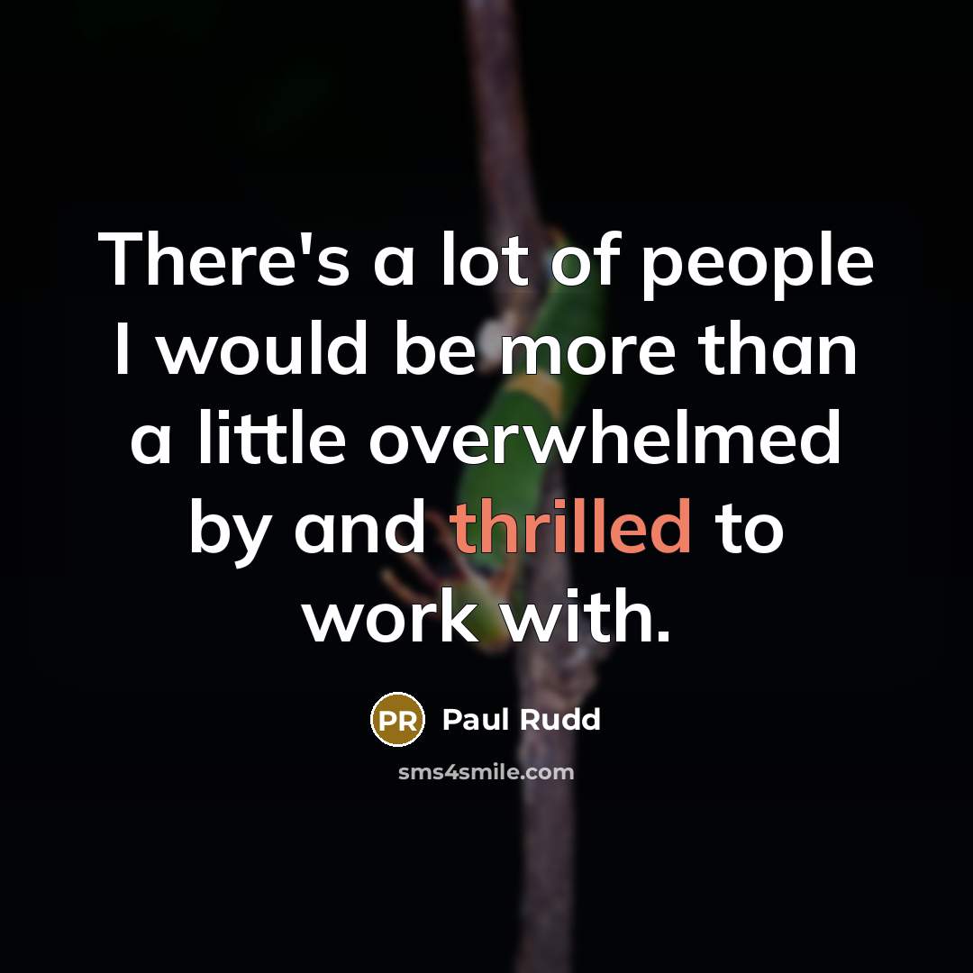 “There's a lot of people I would be more than…” quote by Paul Rudd