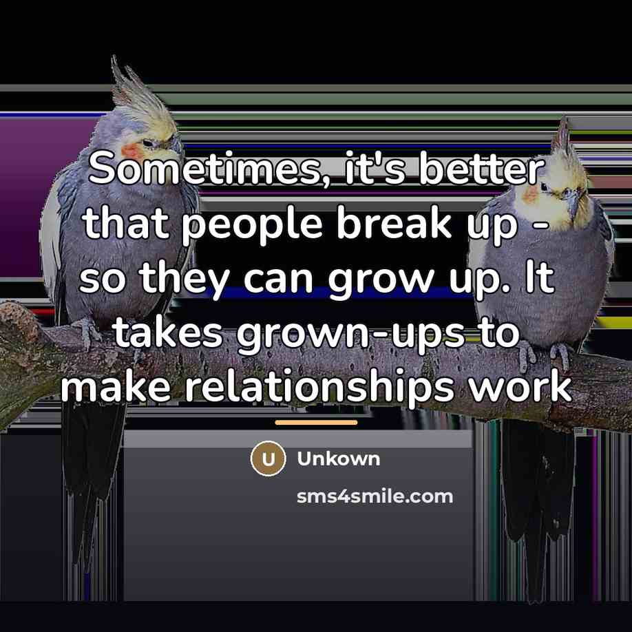 “Sometimes, it's better that people break up - so they…” quote by Unkown