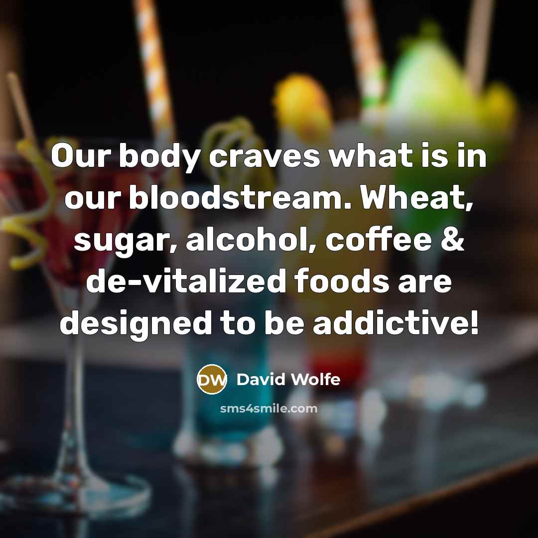 “Our body craves what is in our bloodstream. Wheat, sugar,…” quote by David Wolfe
