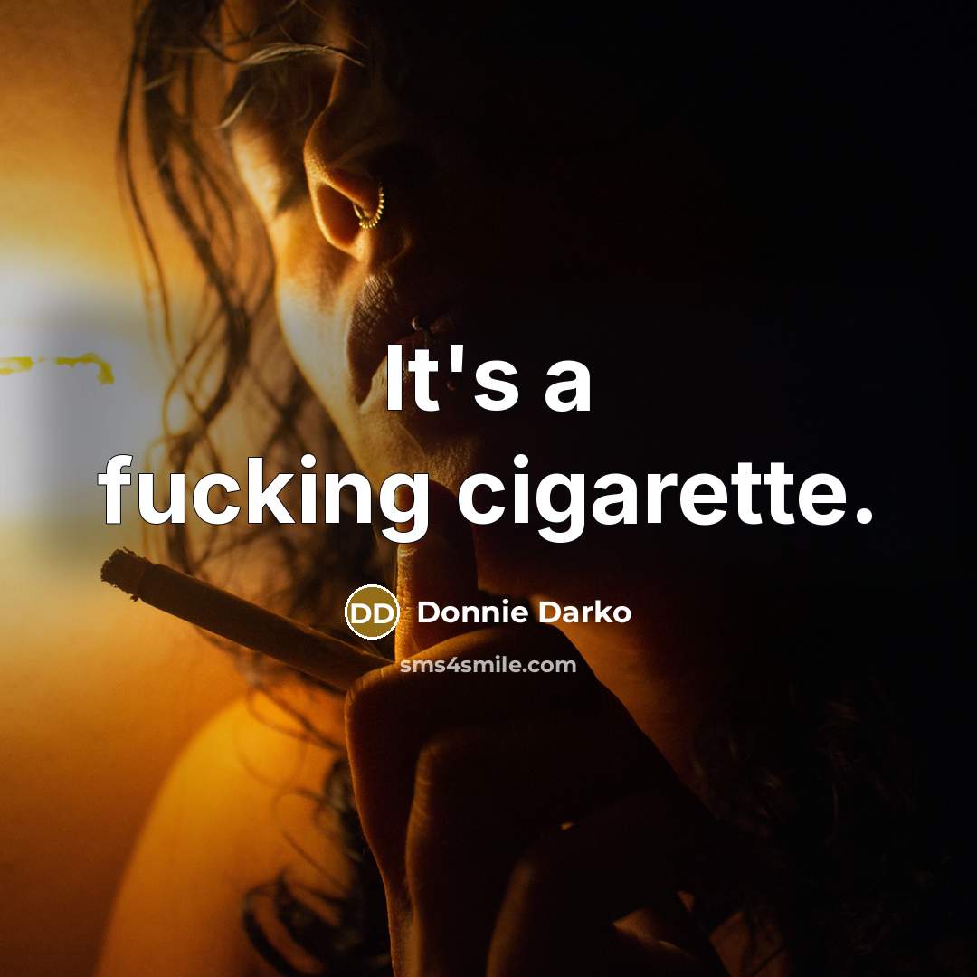 “It's a fucking cigarette.…” quote by Donnie Darko