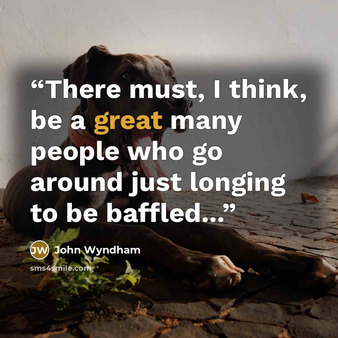 “There must, I think, be a great many people who go around just longing to be baffled...” quote by John Wyndham