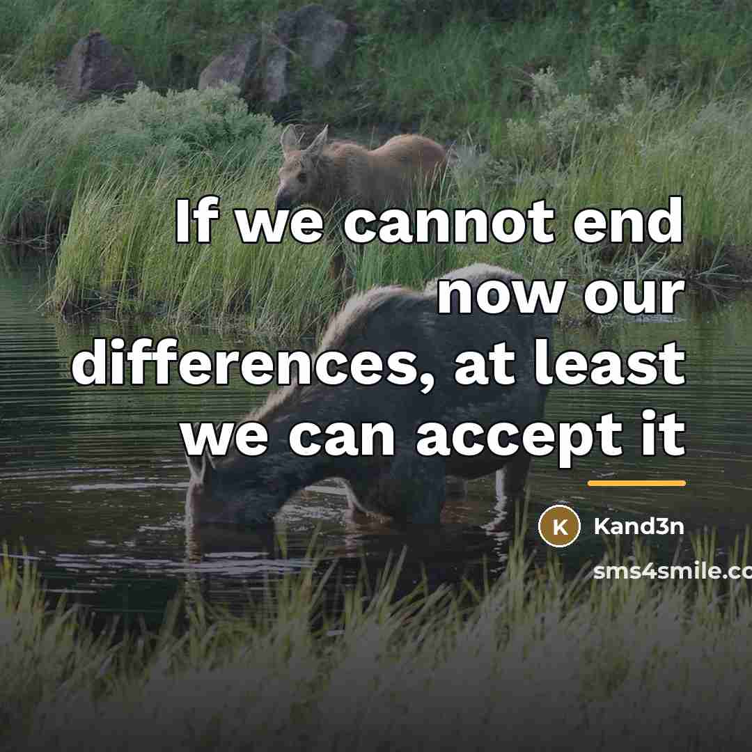 “If we cannot end now our differences, at least we…” quote by Kand3n