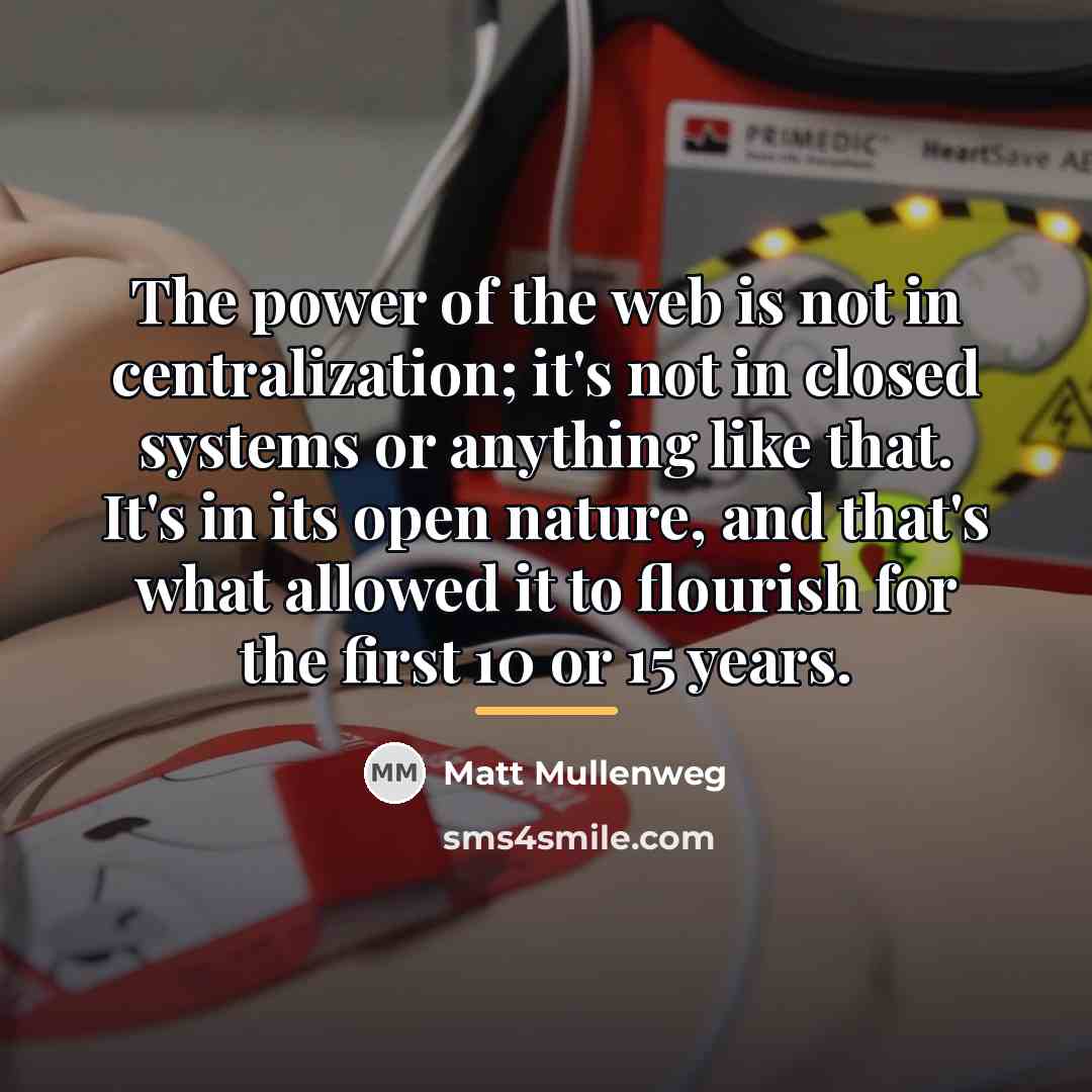 “The power of the web is not in centralization; it's…” quote by Matt Mullenweg