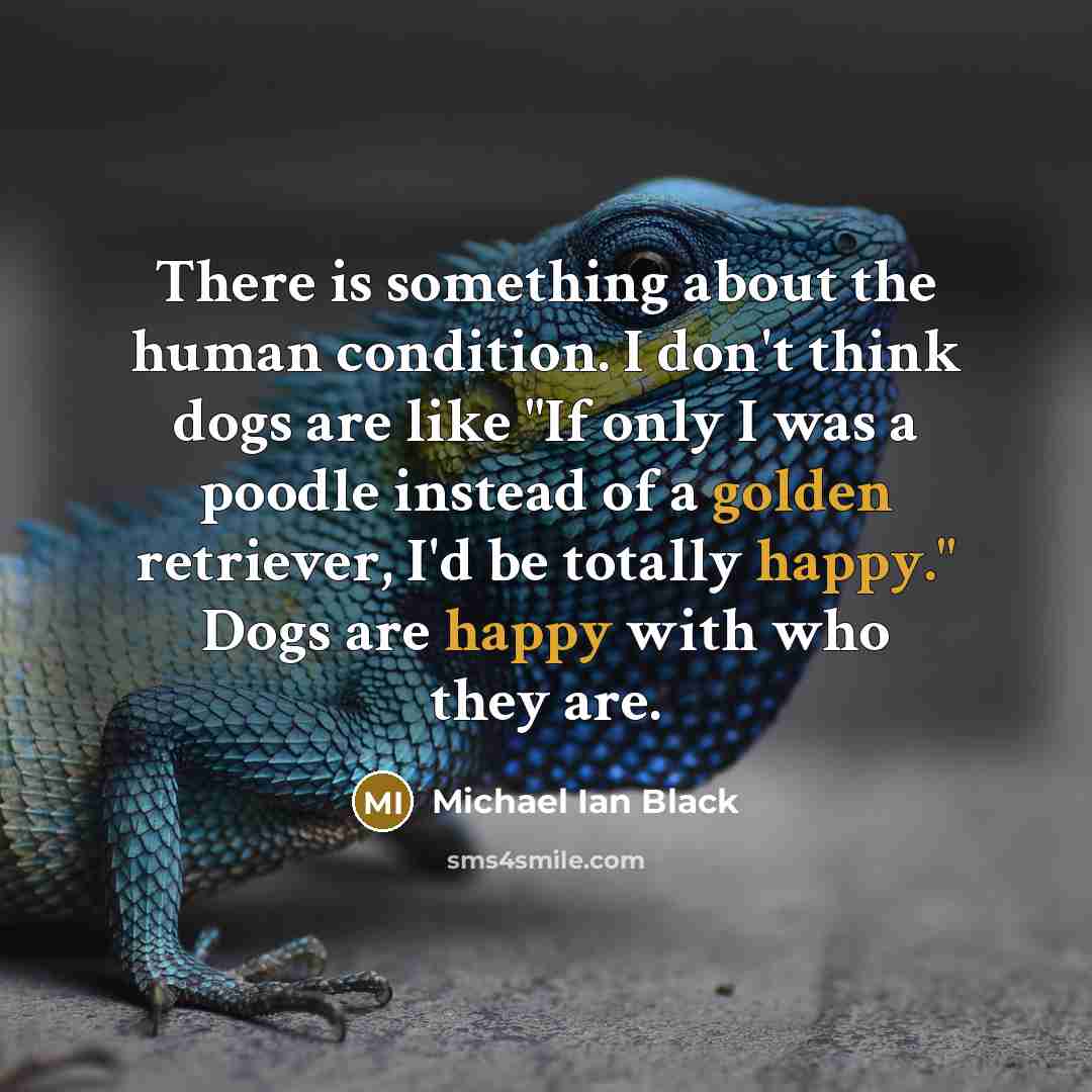 “There is something about the human condition. I don't think dogs are like "If only I was a poodle instead of a golden retriever, I'd be totally happy." Dogs are happy with who they are.” quote by Michael Ian Black
