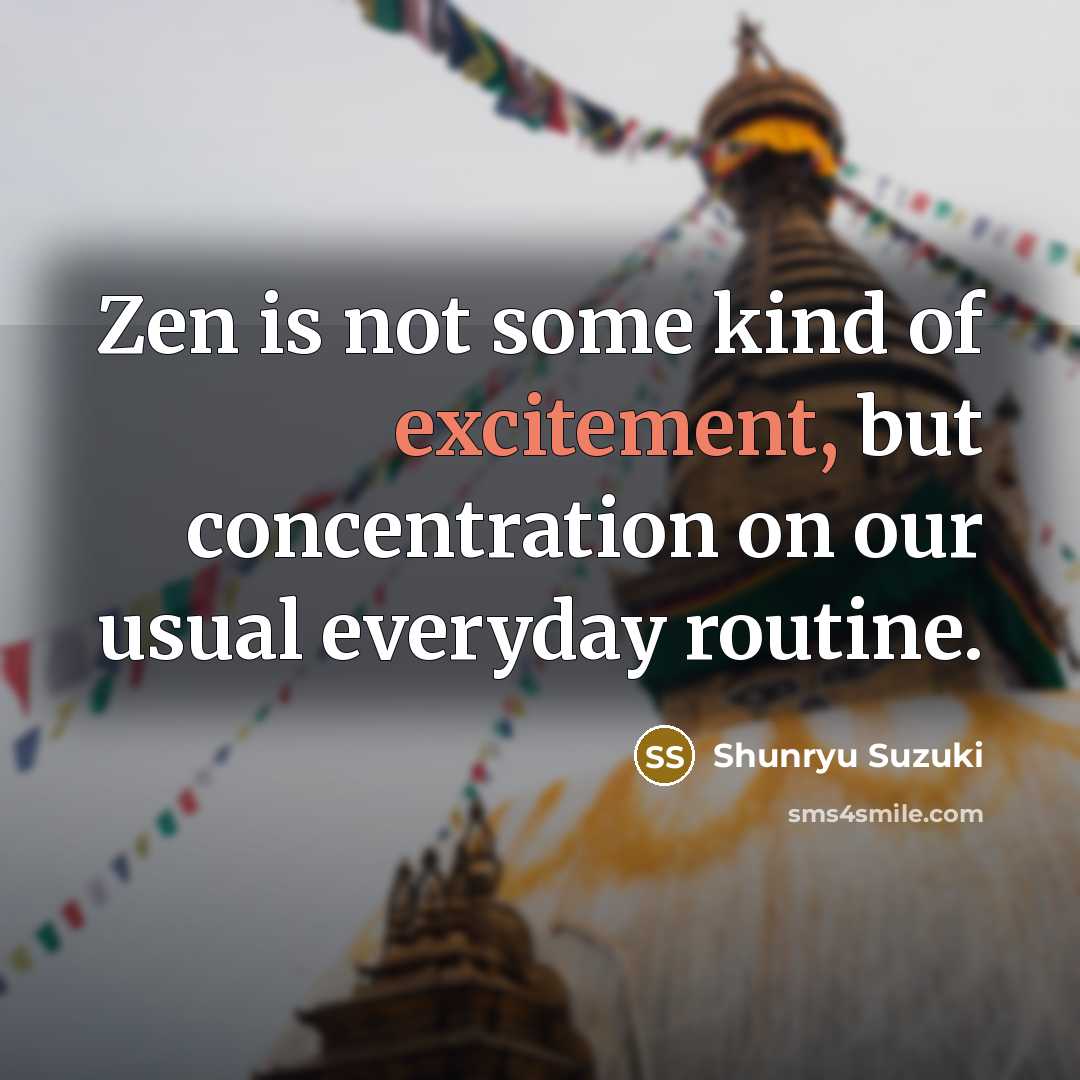 “Zen is not some kind of excitement, but concentration on…” quote by Shunryu Suzuki