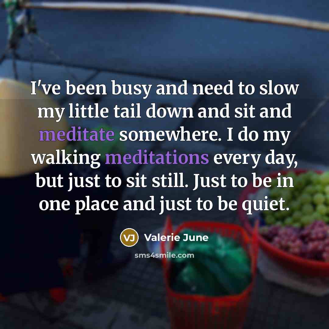 “I've been busy and need to slow my little tail…” quote by Valerie June
