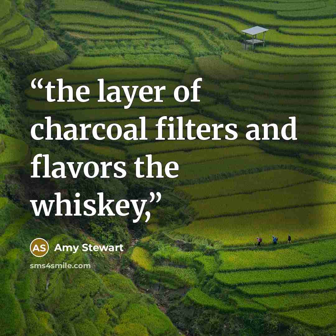 “the layer of charcoal filters and flavors the whiskey,” quote by Amy Stewart