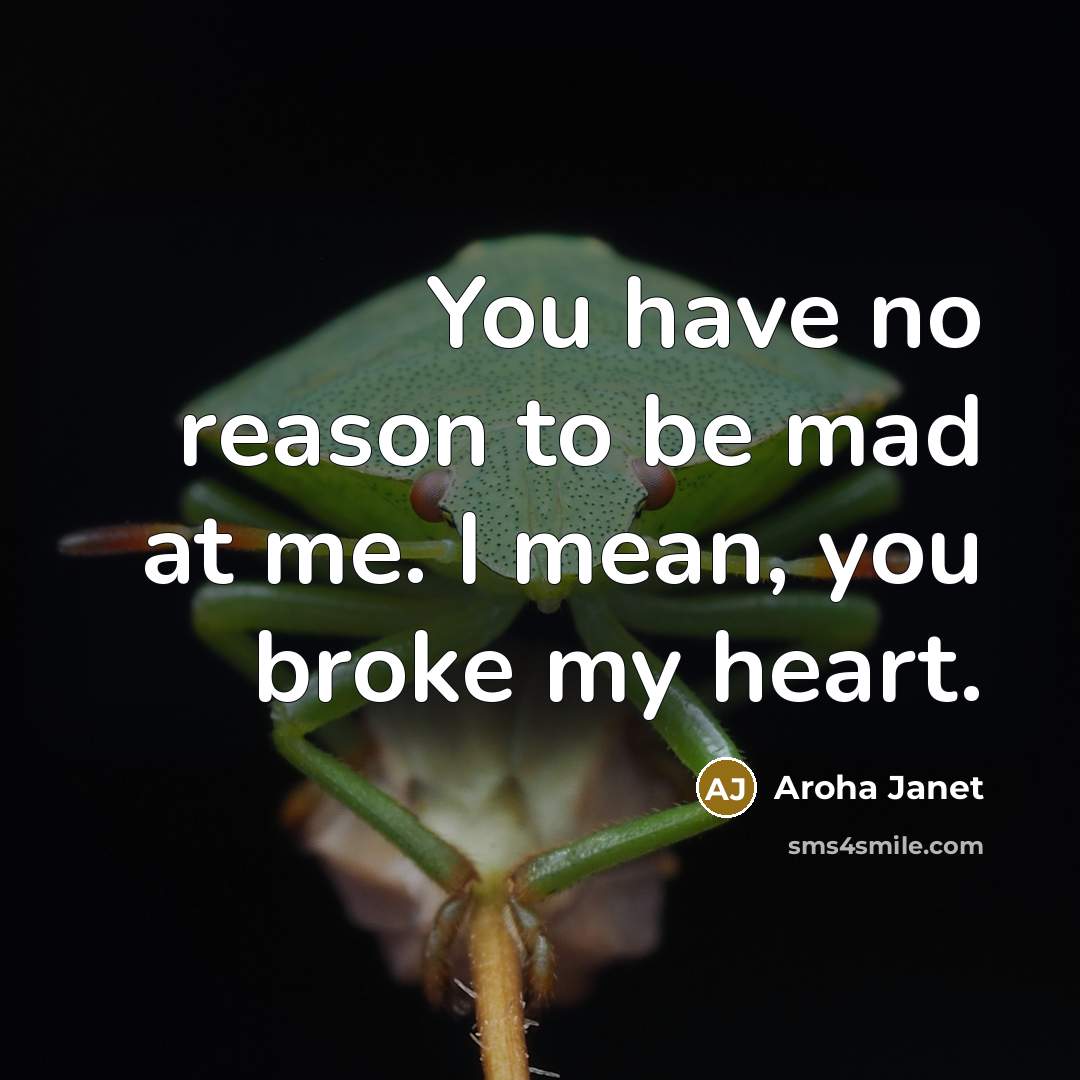 “You have no reason to be mad at me. I…” quote by Aroha Janet