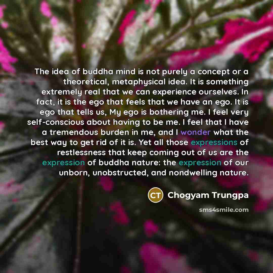 “The idea of buddha mind is not purely a concept…” quote by Chogyam Trungpa