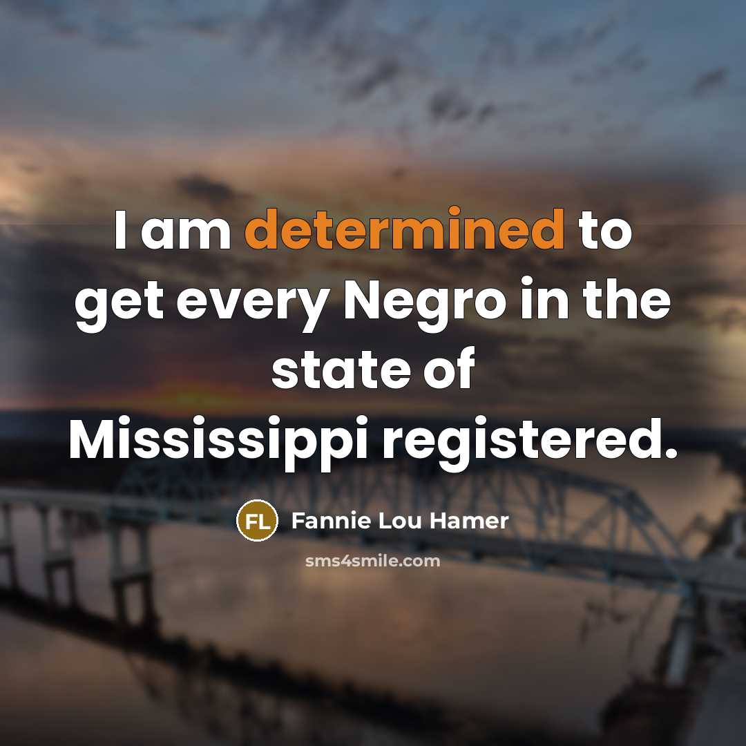 “I am determined to get every Negro in the state…” quote by Fannie Lou Hamer