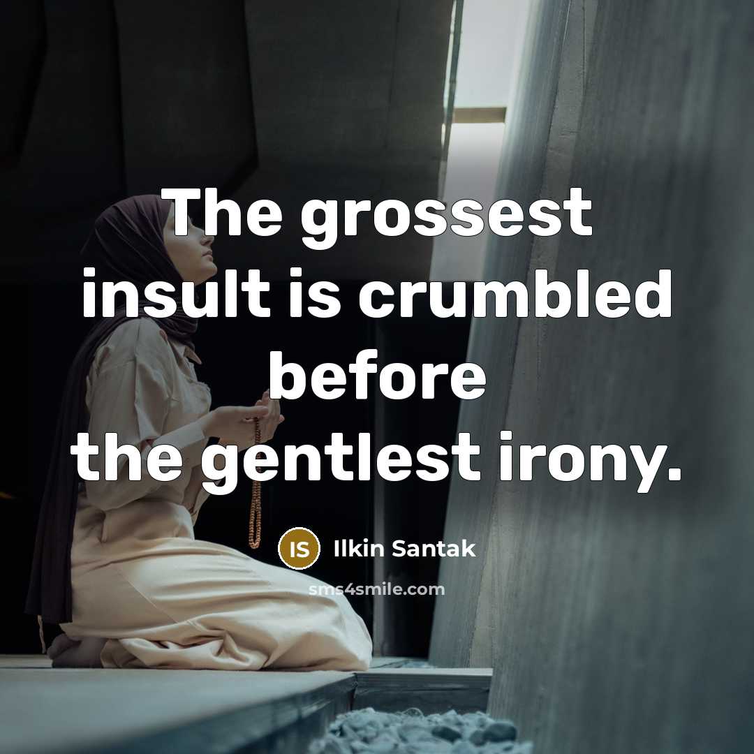 “The grossest insult is crumbled before the gentlest irony.…” quote by Ilkin Santak