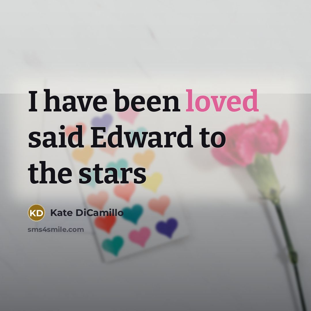 “I have been loved said Edward to the stars” quote by Kate DiCamillo