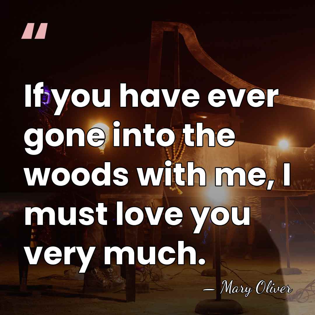 If you have ever gone into the woods with me, I must&hellip; - Mary Oliver