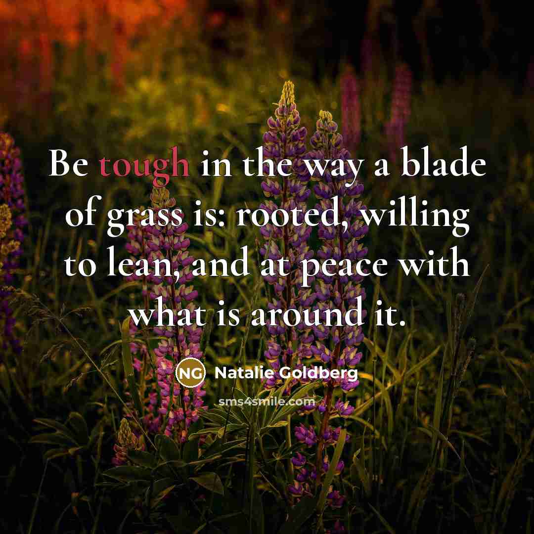 “Be tough in the way a blade of grass is:…” quote by Natalie Goldberg