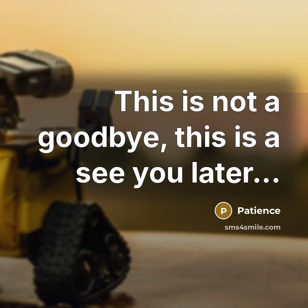 “This is not a goodbye, this is a see you later...” quote by Patience