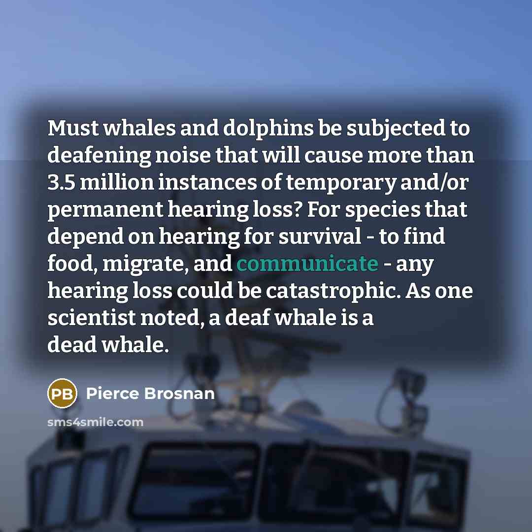 “Must whales and dolphins be subjected to deafening noise that…” quote by Pierce Brosnan