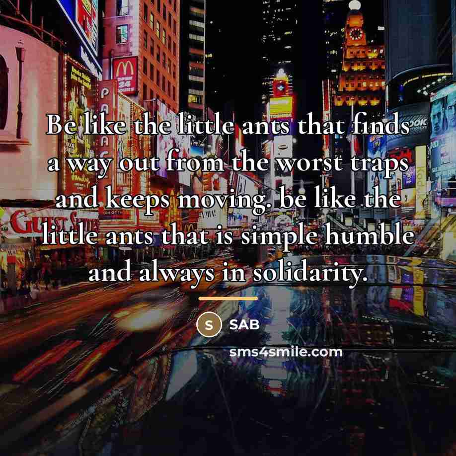 “Be like the little ants that finds a way out…” quote by Sab