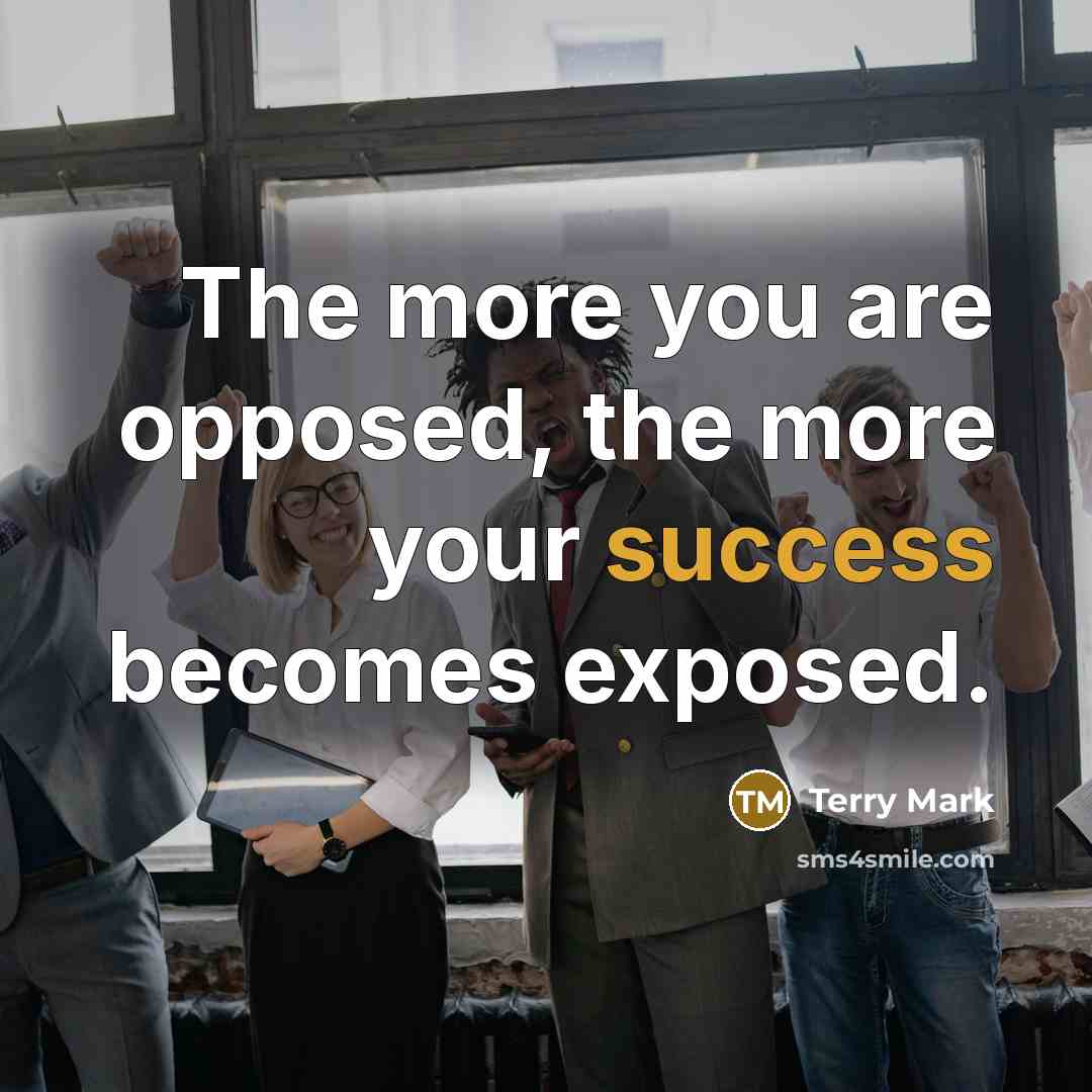 “The more you are opposed, the more your success becomes…” quote by Terry Mark
