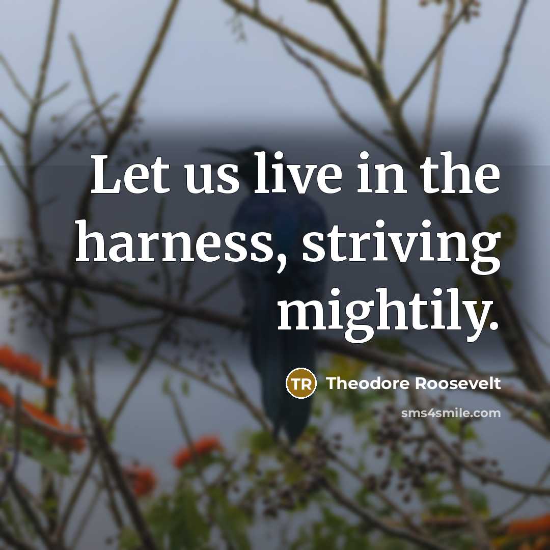 “Let us live in the harness, striving mightily.…” quote by Theodore Roosevelt