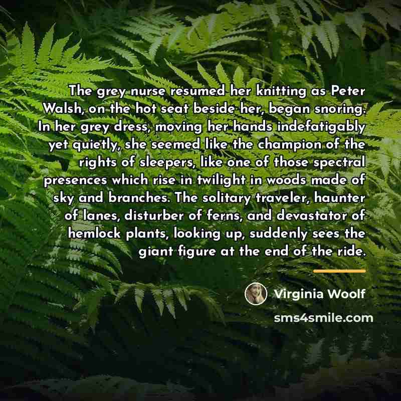 “The grey nurse resumed her knitting as Peter Walsh, on…” quote by Virginia Woolf