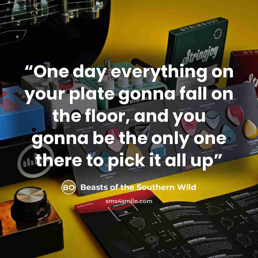 “One day everything on your plate gonna fall on the floor, and you gonna be the only one there to pick it all up” quote by Beasts of the Southern Wild